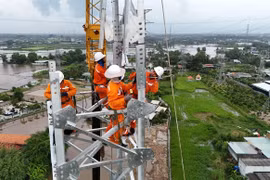 Thủ tướng phê duyệt chủ trương đầu tư dự án truyền tải điện hơn 650 tỷ đồng tại phía Nam