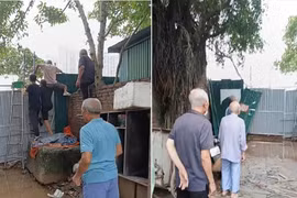 Hà Nội: 'Bắc thang' vào viếng mộ tổ tiên vì đường bị đào hố, rào tôn