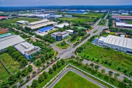 Lào Cai: Một doanh nghiệp chế biến gỗ vi phạm bảo vệ môi trường bị phạt 320 triệu đồng