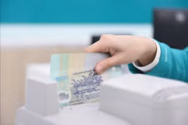 Searefico (SRF): Tổng Giám đốc lần đầu mua cổ phiếu giữa lúc doanh nghiệp âm dòng tiền hơn 177 tỷ, mới hoàn thành 16% kế hoạch lợi nhuận