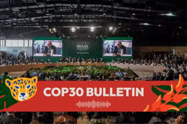 Mỹ sẽ không cử quan chức cấp cao dự COP30?
