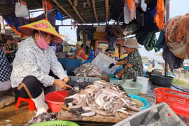 19 xã đặc biệt khó khăn vùng bãi ngang, ven biển, hải đảo đã thoát nghèo