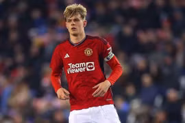 MU triệu hồi Toby Collyer từ West Bromwich Albion