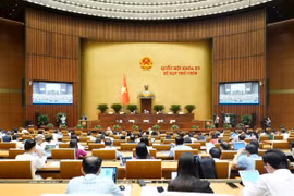 Đột phá về thể chế và phát triển bền vững