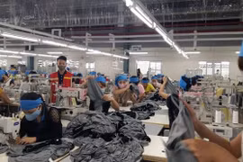 Tạo việc làm – Chìa khóa giảm nghèo bền vững ở Thanh Hóa