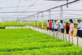 Xã Lê Lợi phát huy nội lực xây dựng nông thôn mới