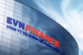 Đón chờ kết quả sau kiểm toán năm 2024 của EVF