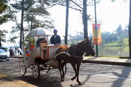 Nhiều sản phẩm du lịch đặc trưng của Đà Lạt phải dừng hoạt động