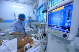 Mỗi tuần TP HCM có hơn 400 ca sốt xuất huyết