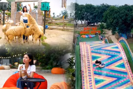 Cuối tuần rồi...mình chơi thôi