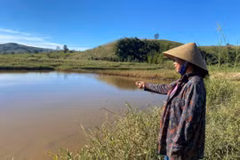 Quảng Ngãi: Thủy điện Đăk Bla 1 phớt lờ kiến nghị, người dân sống khổ vì ruộng ngập nhiều năm