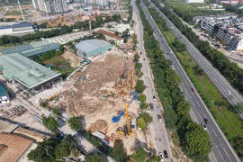 Di dời cây xanh, đẩy nhanh GPMB thi công nút giao đường Vành đai 3,5