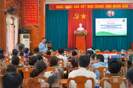 Giải pháp tái canh cà phê, bứt phá năng suất lúa từ Phân bón Miền Nam