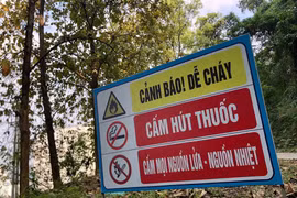 Trời nắng nóng kéo dài, Lào Cai chỉ đạo khẩn phòng chống cháy rừng