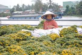 Nghề trồng hoa - kiểng Sa Đéc là Di sản văn hóa phi vật thể quốc gia