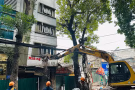 Hà Nội cưỡng chế nhiều công trình để đẩy nhanh tiến độ dự án Hoàng Cầu - Voi Phục
