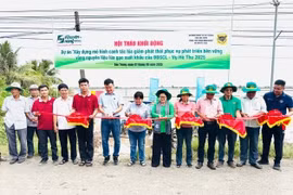 Phân bón Bình Điền: Xây dựng mô hình canh tác lúa giảm phát thải