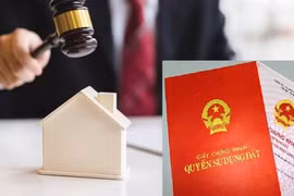Cựu cán bộ tỉnh Phú Thọ bị khởi tố vì thu tiền của người dân trúng đấu giá đất trái quy định