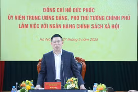 Ngân hàng Chính sách xã hội sắp xếp lại bộ máy phải giữ được mạng lưới khách hàng
