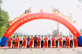 Phó Thủ tướng Nguyễn Chí Dũng dự khánh thành các công trình trọng điểm tại Bình Định