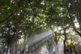 Bắc Bộ hôm nay ngày nắng, chiều tối có mưa dông rải rác