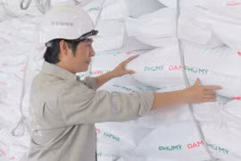 PVFCCo - Phú Mỹ (DPM): Tuổi 22 trên một vị thế mới
