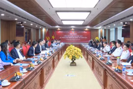 Vụ Chế độ và Kiểm soát chất lượng kiểm toán: Hoàn thành tốt nhiệm vụ 2025