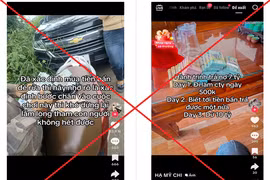 Xuất hiện chiêu trò 'mua tiền bẩn để rửa' – bẫy lừa đảo mới trên TikTok