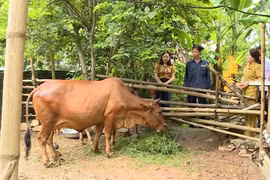 Thanh Hoá, Tạo ra sinh kế bền vững, điểm tựa nâng chất lượng cuộc sống cho người dân