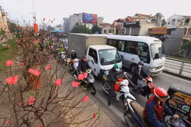 Các cơ quan truyền thông cần tăng cường tuyên truyền về trật tự, an toàn giao thông dịp Tết và Lễ hội xuân 2025