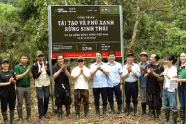 Forestival 2025 - Gieo mầm xanh tại rừng Cúc Phương