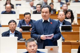 Đẩy mạnh chuyển đổi số trong quản lý thuế