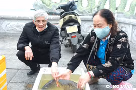 Tết "ông Công, ông Táo", người dân thả đôi chép nặng gần 10 cân với giá 500 nghìn đồng