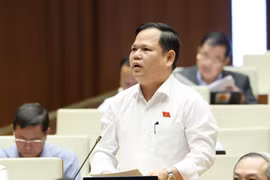 Cần chuyển đổi mạnh mẽ mô hình tăng trưởng từ chiều rộng sang chiều sâu