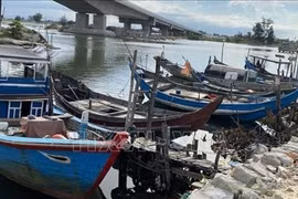 Chỉ đạo của Ban Bí thư về ứng phó với cơn bão số 5 (Kajiki)