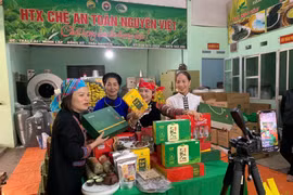 Hỗ trợ chuyển đổi số, cú hích gia tăng giá trị thúc đẩy giảm nghèo bền vững tại Thái Nguyên