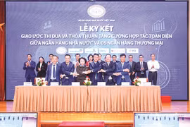 Công đoàn Ngân hàng Việt Nam: Dấu ấn tiên phong trong chuyển đổi số ngành
