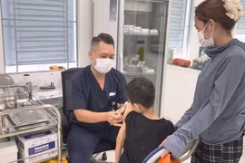 Nhiều trẻ em bị chó cắn nghiêm trọng trong dịp hè