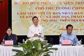 Đồng Nai cần tập trung xử lý, tháo gỡ các dự án tồn đọng, 'làm từng việc, chắc từng bước'