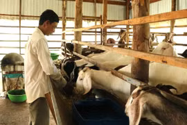 Đồng Tháp: Đưa chuyển đổi số vào truyền thông giảm nghèo