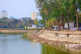 Phản ánh bê tông 'có vấn đề' ở công viên Nghĩa Đô là không chính xác, có hiểu nhầm