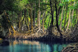 Màu châu thổ