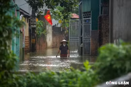 Hà Nội lập kế hoạch tổng thể cải tạo đê điều, chống lũ sông Bùi