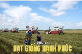 'Hạt giống hạnh phúc': Phim tài liệu về tình hữu nghị Việt Nam - Cuba
