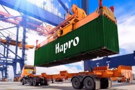 Hapro và hành trình đưa Thương hiệu quốc gia Việt Nam ra toàn cầu