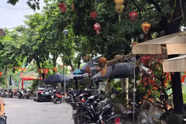 Hà Nội: Không gian xanh quanh hồ bị 'bóp nghẹt', nhường chỗ cho quán cà phê, quán ăn