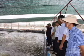 Nam Định: Tổng sản lượng nuôi trồng thủy sản ước đạt khoảng 27.330 tấn
