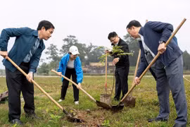 Trồng hơn 1.000 cây xanh ở lăng vua Gia Long