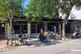 Hải Phòng: Kỷ luật Chủ tịch UBND cấp xã nếu để xảy ra vi phạm đất đai
