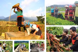 Bảo đảm liên tục trong thực hiện các chương trình mục tiêu quốc gia khi sắp xếp đơn vị hành chính